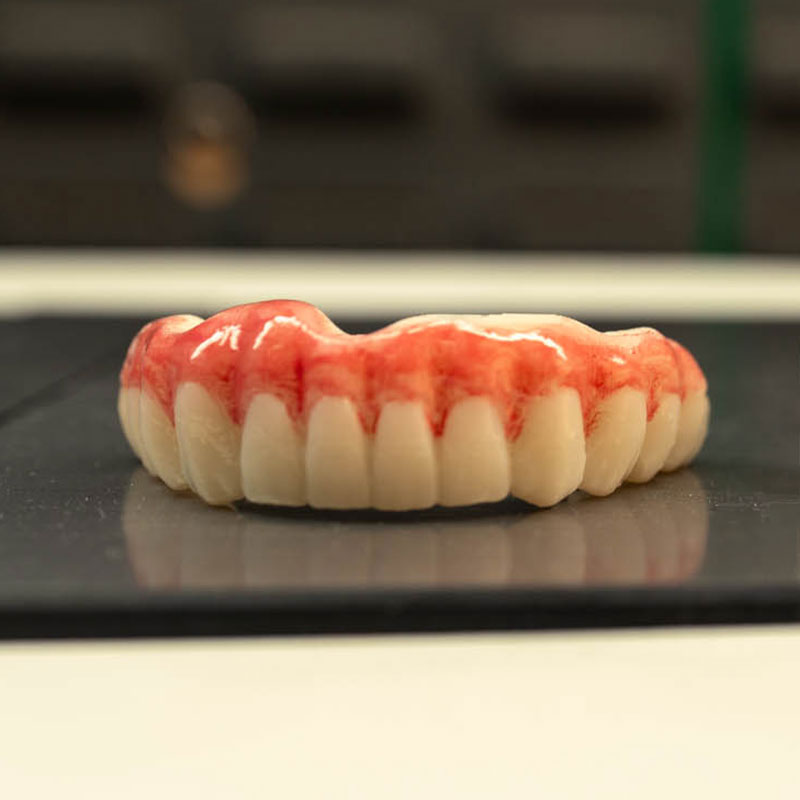 full arch model
